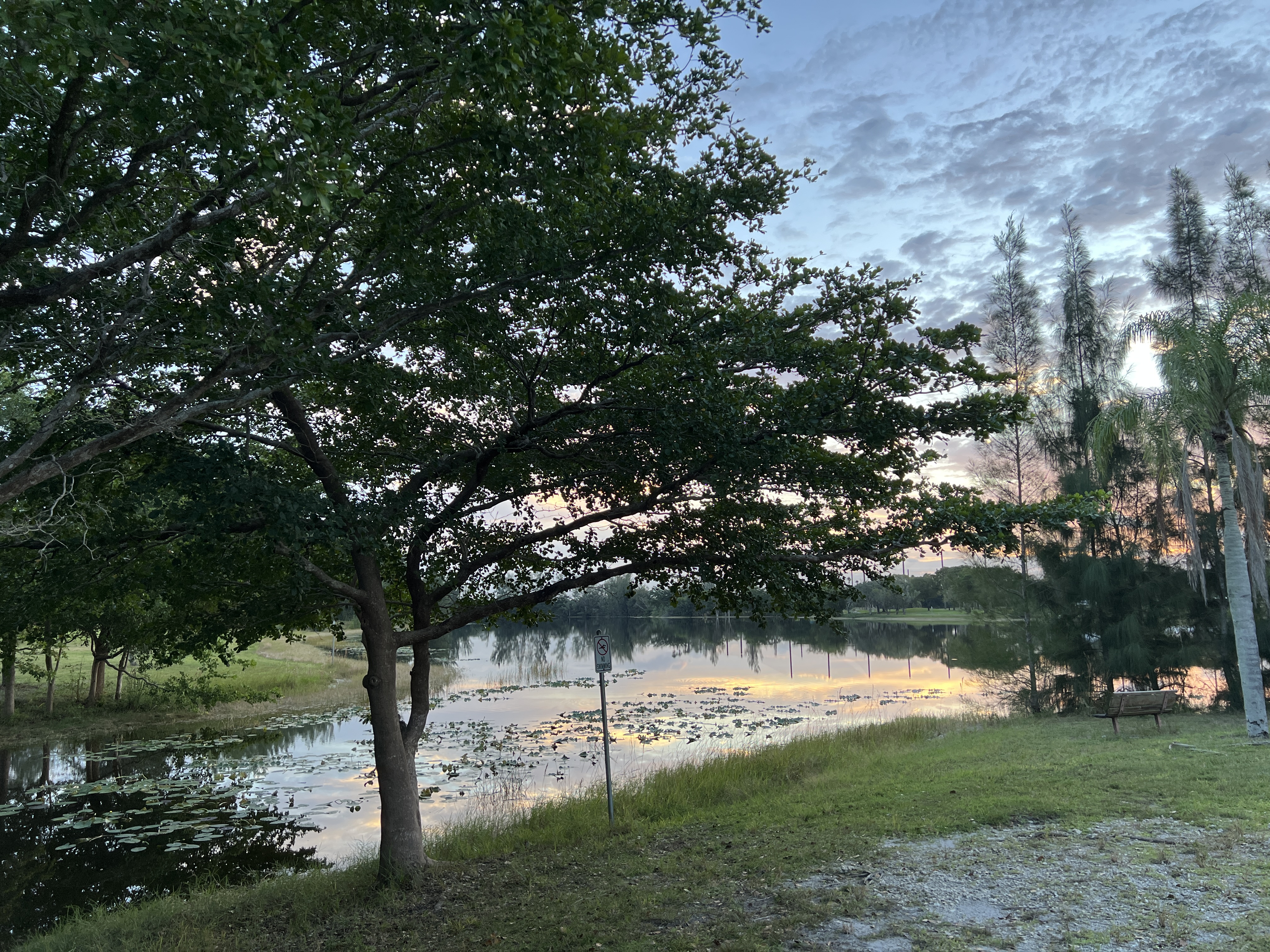 ./2025/12 - Pembroke Pines Wedding/IMG_7617.JPG